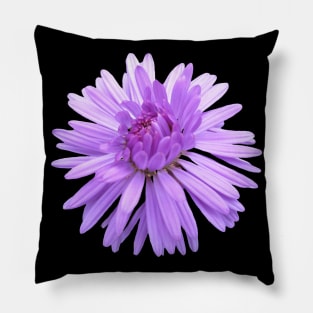 purple flower, flowers, nature, blooms, violet Pillow