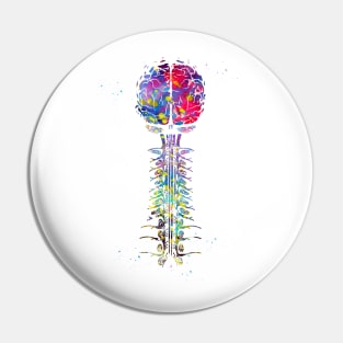 Brain and cervical Pin