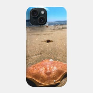 Treasure on the North Shore Phone Case