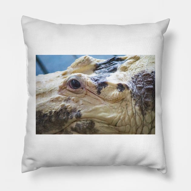 Albino Alligator Pillow by KensLensDesigns