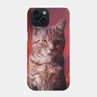 Grey tabby cat in the red sky Phone Case