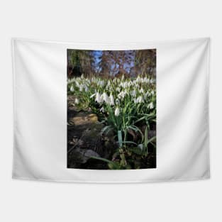 snowdrop Tapestry