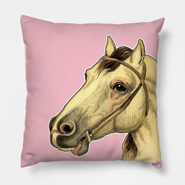 Horse head Pillow by Marccelus