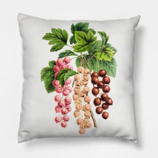 Vintage pink currants Pillow