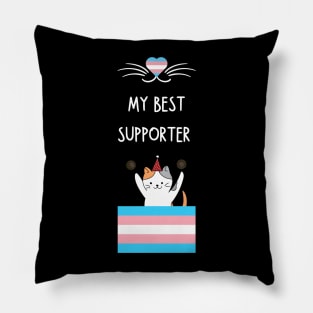 trans rights Pillow