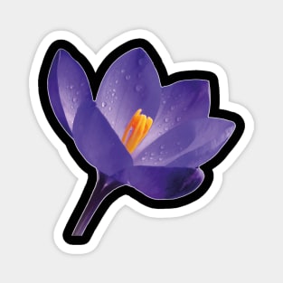 Purple Flower Magnet