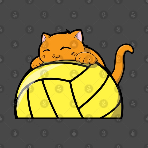 Cute Cat Hugging A Volleyball by The Kitten Gallery