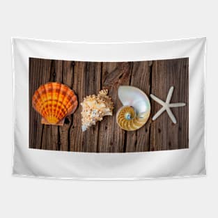 Four Lovely Shells And White Starfish Tapestry