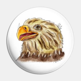 Eagle head.Bald eagle.Golden eagle Pin