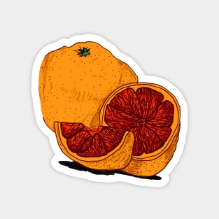 Hand drawn Orange Magnet