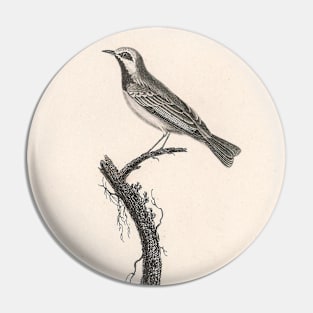 The Chrysoptera Warbler Pin