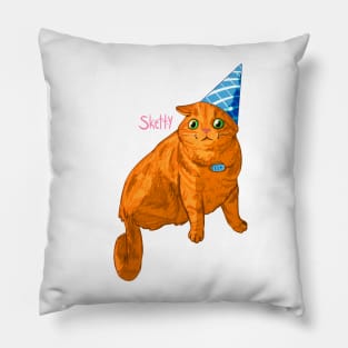 Birthday Cat Pillow