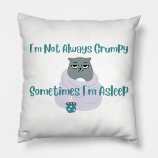 I'm Not Always Grumpy. Sometimes I'm Asleep Cat Shirt - Hilarious Cat Nap Tee, Perfect Casual Wear for Cat Lovers and Non-Morning Persons Pillow