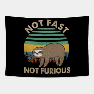 Not Fast Not Furious Funny Lazy Sloth Vintage Tapestry