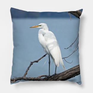 Great Egret / Great White Heron Sitting On a Tree Branch Pillow