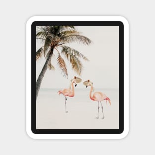 Flamingos on the beach under palm Animal adventures Magnet