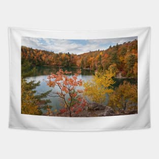 Overlooking Pink Lake Tapestry