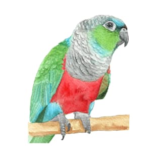 Crimson-bellied parakeet watercolor - conure painting bird portrait T-Shirt