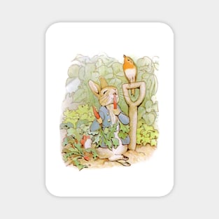 Beatrix Potter, Peter Rabbit Magnet