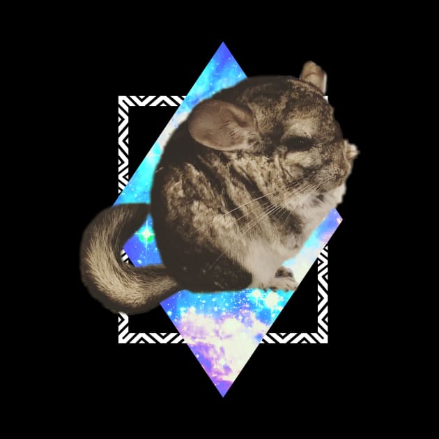 CHINCHILLA IN SPACE by Anewman00.DESIGNS