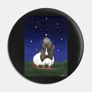 Star Gazing Rat Pin