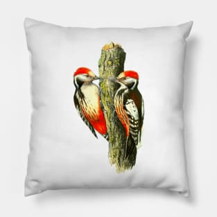 Red tufted finch on tree trunk Pillow