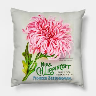 Miss C.H. Lippincott Seed Catalogue Pillow