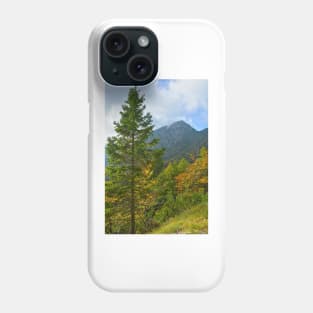 Autumn on the Slopes of Mangrt Phone Case