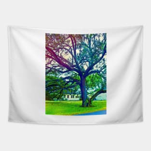 Southern Live Oak Tapestry