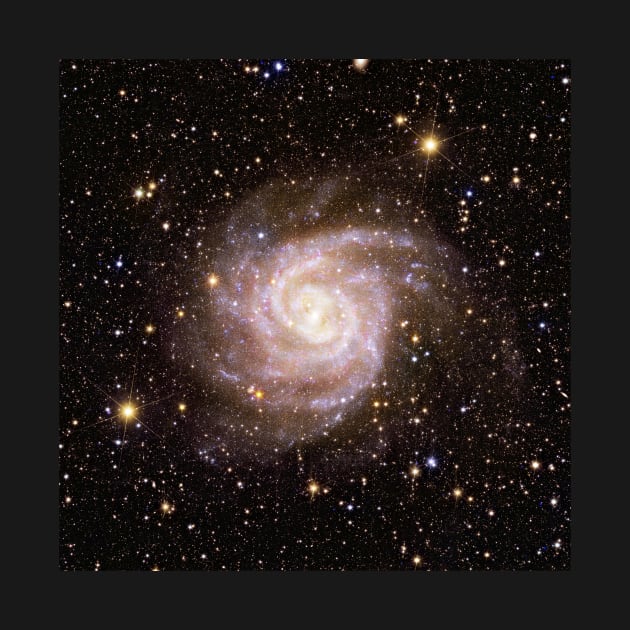 Euclid IC 342 Spiral Galaxy by RockettGraph1cs