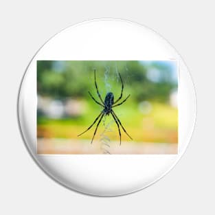 Garden Spider Pin