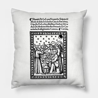 Renaissance Astronomers and Astrolabe Pillow