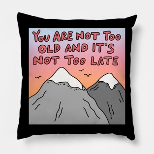 You Are Not Too Old Pillow