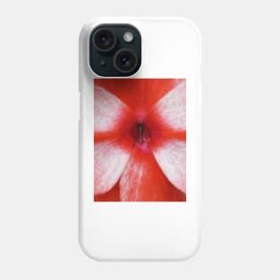 closeup macro photography of bright red and white dahlia bloom Phone Case