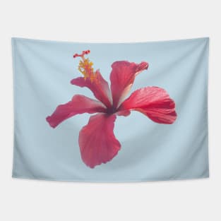 Tropical Hibiscus Tapestry