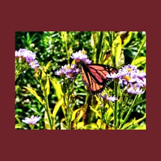 Butterflies - Monarch Butterfly on Purple Wildflower T-Shirt