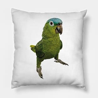 blue-crowned parrot Pillow