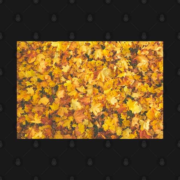 Yellow Fallen Leaves Pattern by mikels