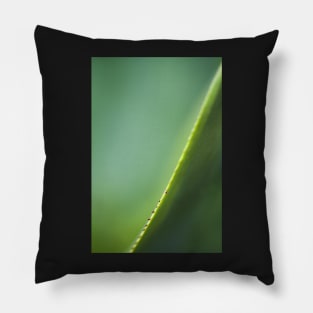 Razor Leaf Pillow