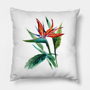 Birds of Paradise Pillow