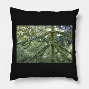 Monkey Puzzle Junction Pillow