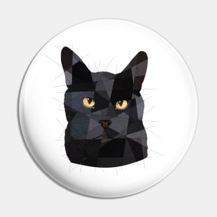 Salem Pin