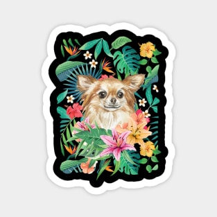 Tropical Long Haired Red Chihuahua 2 Magnet