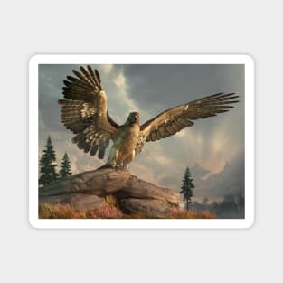 Hawk on the Rocks Magnet