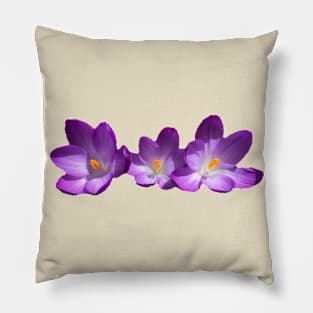 Purple Crocus Trio Pillow