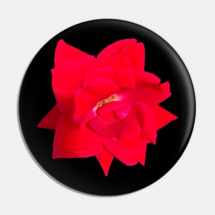 Velvety Rose Flower Pin