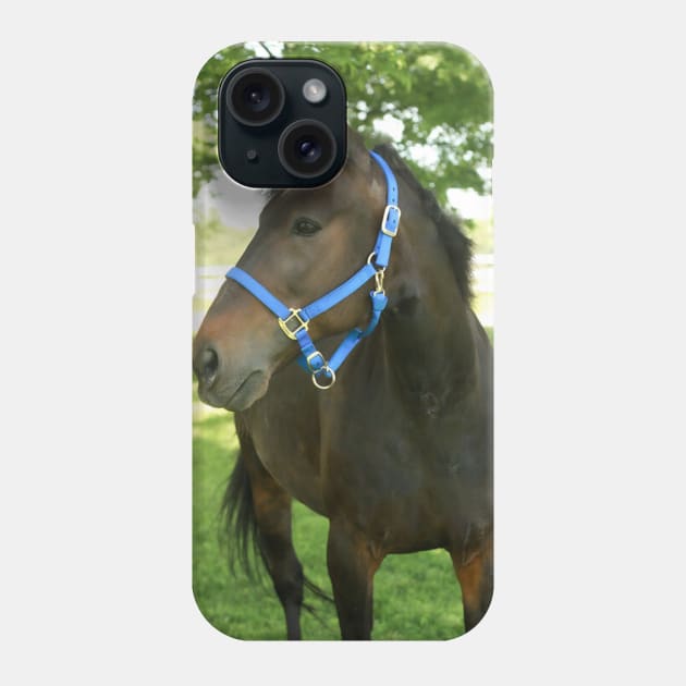 Patrick Phone Case by SunshineHorses