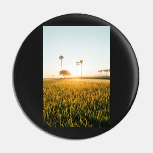 Sun Rising Over Grass Field in Burmese Countryside Pin