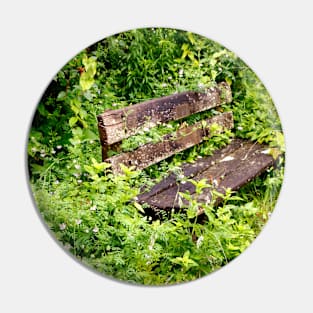 Overgrown Garden Bench Pin