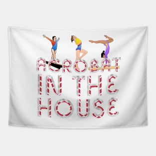 Acrobat Tapestry